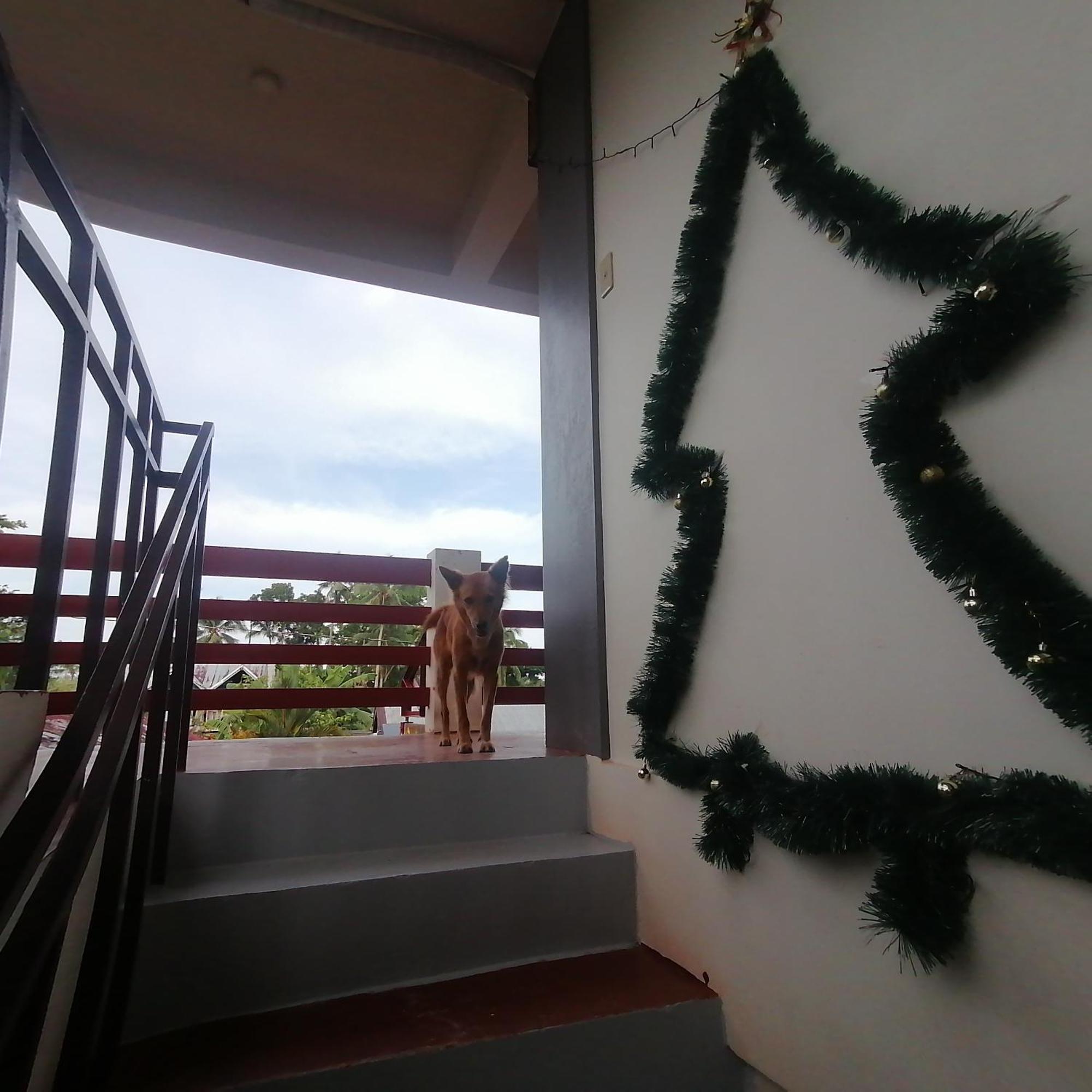 Sol'S Inn - Port Barton San Vicente  Ngoại thất bức ảnh